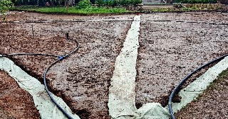 Устройство дренажа Лесной, цена от 1347 руб.