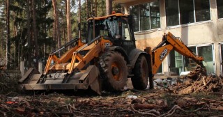 Расчистка участка Лесной, цена от 5181 руб.